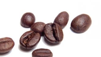 coffee bean 330x186 About