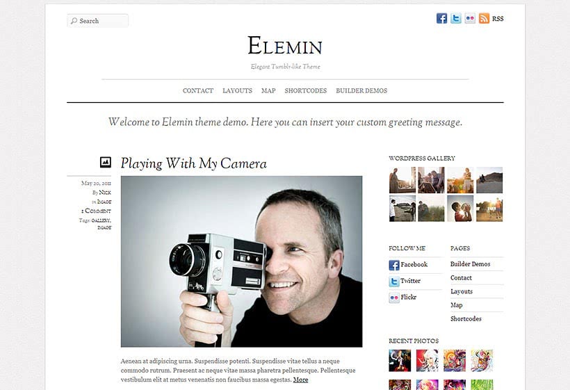 Elemin - modern WordPress theme 