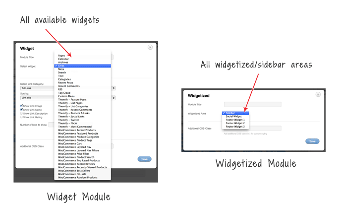 widget & widgetized module