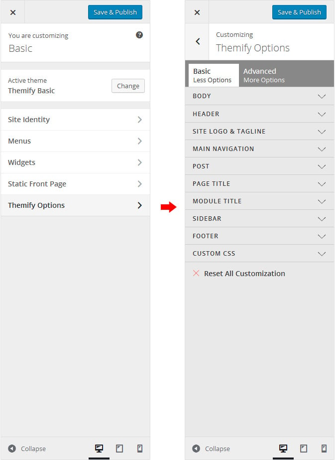 themify customize panel image screenshot