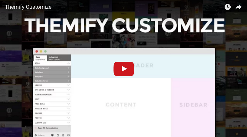 Customize Panel