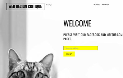 Web Design Critique Screenshot
