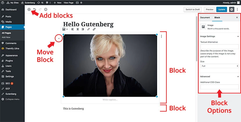 gutenberg wordpress