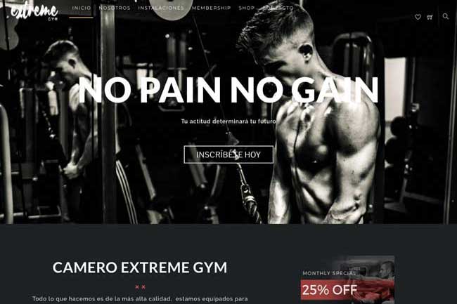 Camero Extreme Gym screenshot