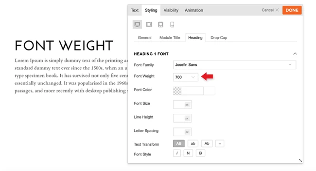 Google Font Weight