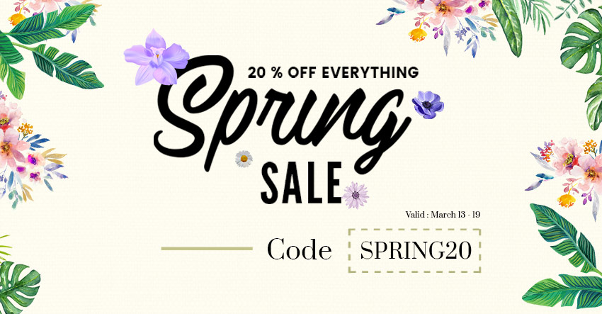 Themify WordPress Theme Spring Sale 2019