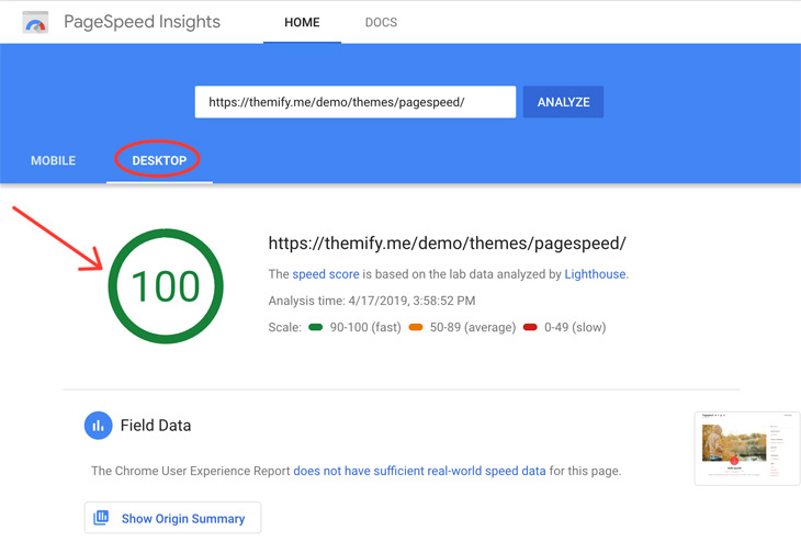 Themify Tutorial How to Score an A+ on Google PageSpeed Insights 100 percent pagespeed score