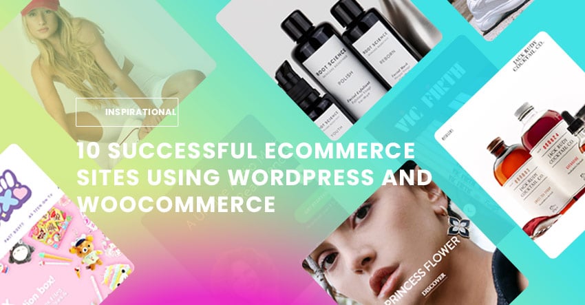 Themify WordPress Tutorial 10 Successful eCommerce Sites