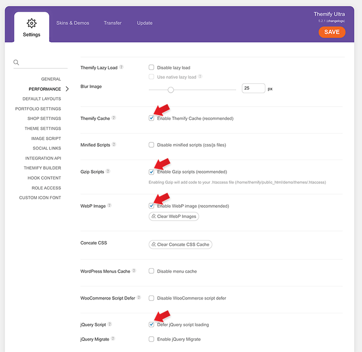 Themify performance settings