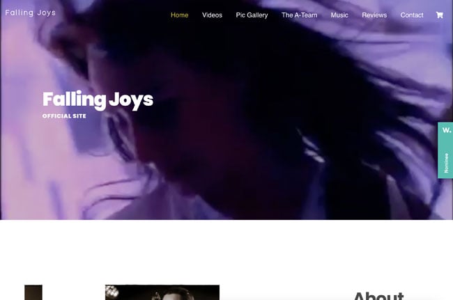 Falling Joys