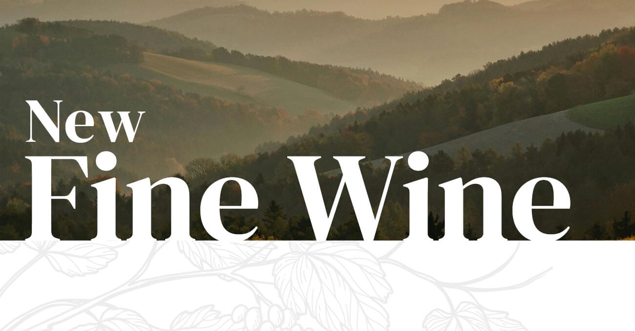 New Wine Skin – Elegant Design for Wineries, Wine Shops & Vineyards