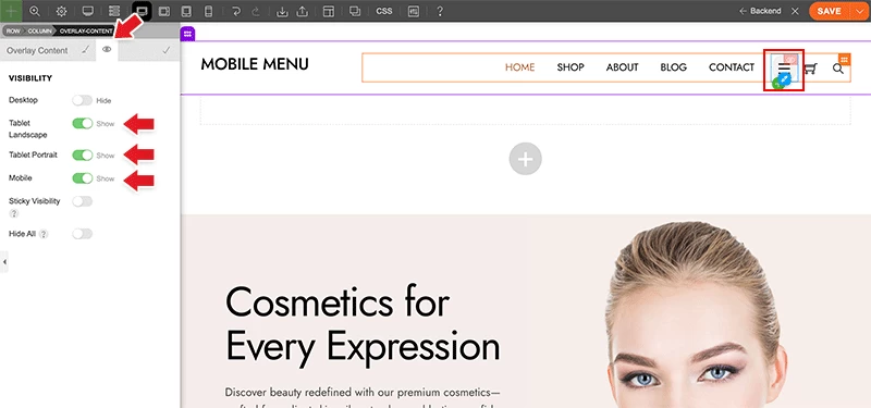 Header Overlay Content module visibility