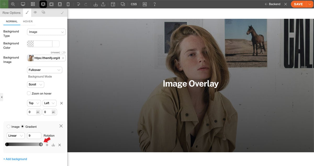 Image overlay